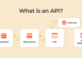 What is API