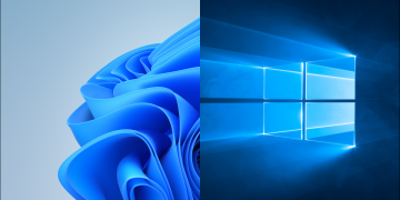 Windows 11 and 10 desktop backgrounds.