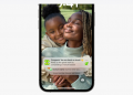 iOS 16 Notifications on iPhone