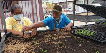 Differently-Abled Farmers Integrate Digital Technology, Aim To Set Example For Others — Global Issues
