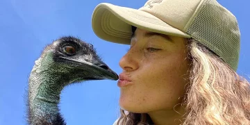 Emmanuel, emu viral on TikTok, Twitter, adapting to ‘new life of fame’