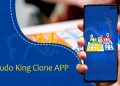 Everything You Ever Wanted to Know About Ludo Clone Apps Work