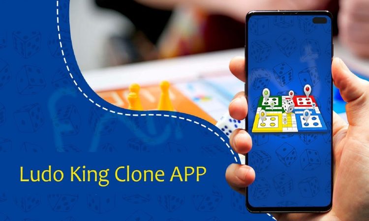 Everything You Ever Wanted to Know About Ludo Clone Apps Work