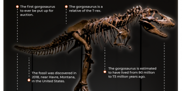 INTERACTIVE gorgosaurus dinosaur auction