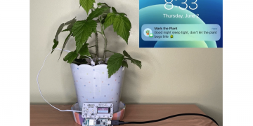 A potted plant hooked up to a Pico W and texting its owner goodnight.