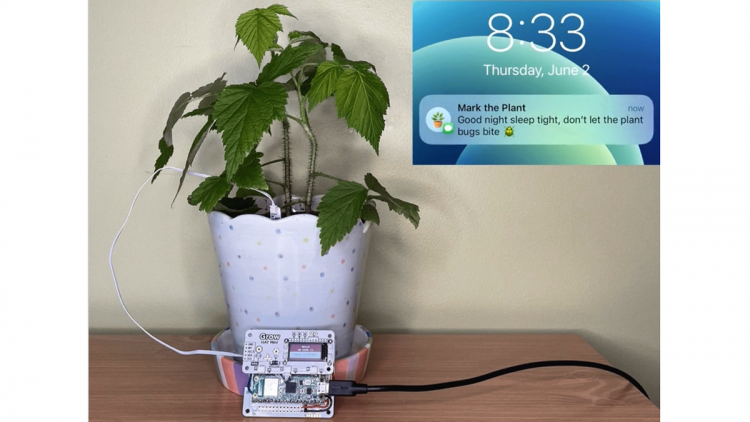A potted plant hooked up to a Pico W and texting its owner goodnight.