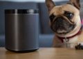 How A Legal Battle Will Change The Way Your Smart Speaker Works