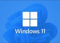 Windows 11 Logo with Wallpaper