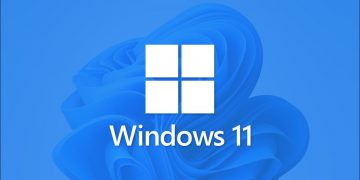 Windows 11 Logo with Wallpaper