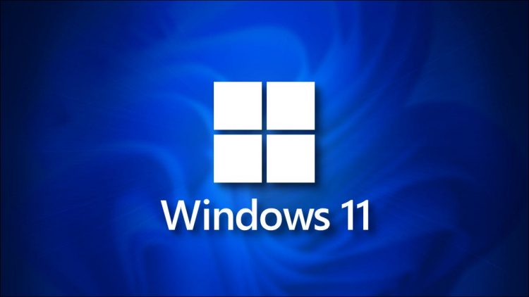 Windows 11 logo on a dark blue shadow background