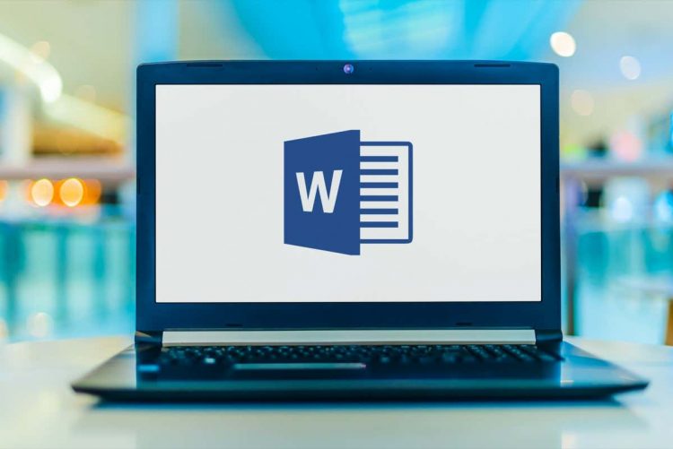 How to Insert a Section Break in Microsoft Word