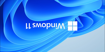 Windows 11 Header Upside Down