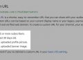 requirements for custom url