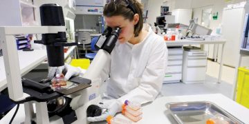 IIT Madras researchers successfully develop and deploy an AI-based tool to diagnose cancer