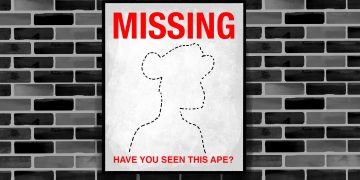 Missing bored apes illustration; IP law and NFTs