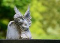 grave angel stock