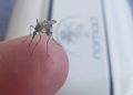 Geek insider, geekinsider, geekinsider. Com,, stop getting bled dry, use technology to be invisible to mosquitos, news