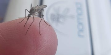 Geek insider, geekinsider, geekinsider. Com,, stop getting bled dry, use technology to be invisible to mosquitos, news