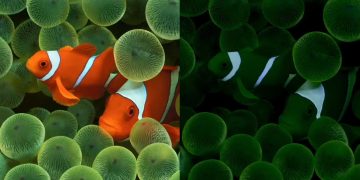 iOS 16 wallpaper modes hint at iPhone 14's always-on screen