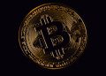 Bitcoin cryptocurrency