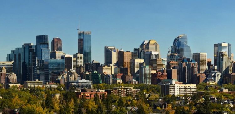 Calgary well ahead of Toronto as place to be to start an IT career: Study