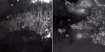 Watch: Drone Footage Of Russian Ammunition Catching Fire In Forest