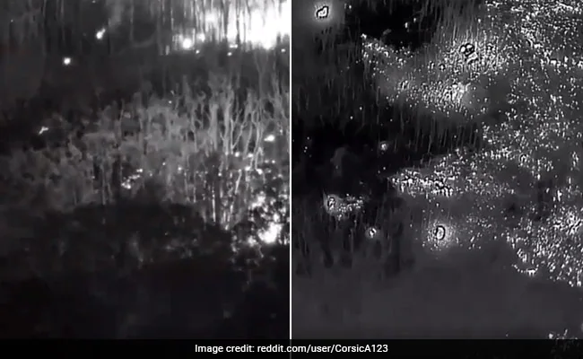 Watch: Drone Footage Of Russian Ammunition Catching Fire In Forest