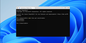 PowerShell on Windows 11 background header.
