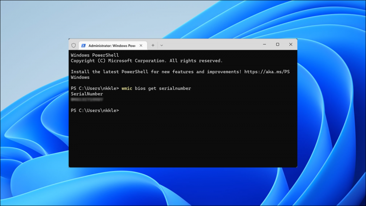 PowerShell on Windows 11 background header.