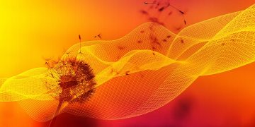 Kissflow review: No code and low code for workflows