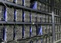 canaan mining rigs