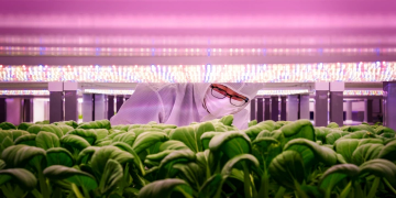 The Download: an “unhackable” phone, and Ring’s TV show