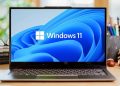 Windows 11