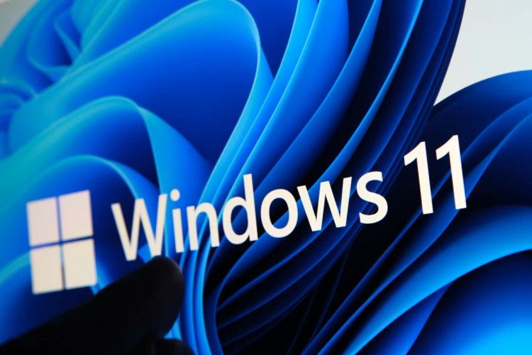 Windows 11 Widgets Not Working? xx Things to Try