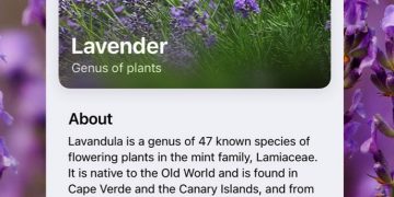 Siri Knowledge identifying plants and flowers on an iPhone running iOS 15.