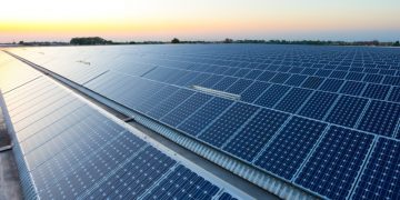 Former Ørsted exec creates $100m green energy investment firm Bluestar