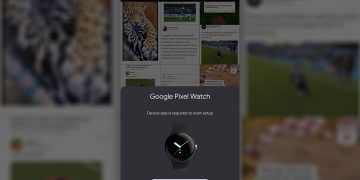 Google Pixel Watch Setup