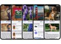 iOS 15 can identify art, books, plants, landmarks, and animals with Visual Look Up.