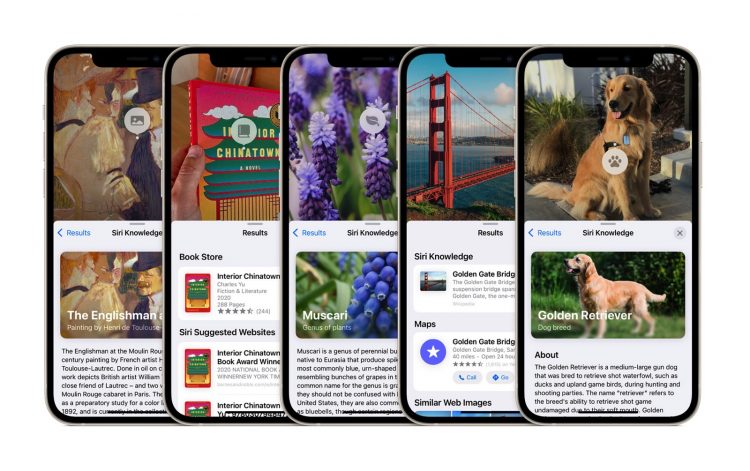 iOS 15 can identify art, books, plants, landmarks, and animals with Visual Look Up.