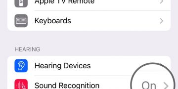 iOS 16's Sound Recognition feature.