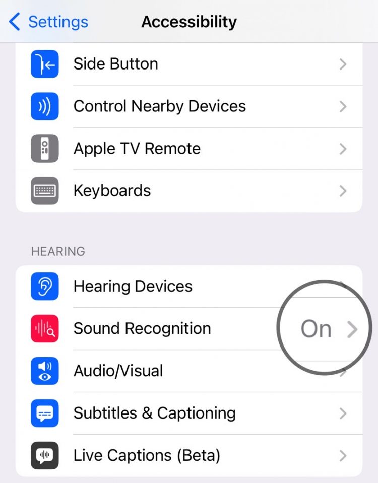 iOS 16's Sound Recognition feature.