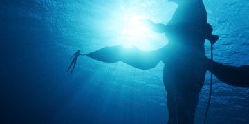 Only 4 big movies left in 2022