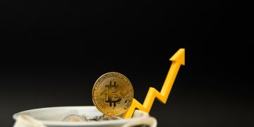 What Determines The Price Of A Cryptocurrency?