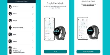 Fitbit App - Pixel Watch