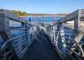Here's a Ton of Pixel 7 Pro Camera Samples