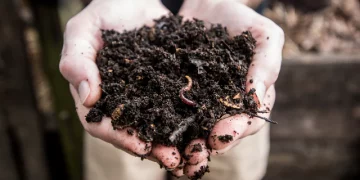 A new way to say goodbye_ How some US-based companies are turning deceased humans in to compost