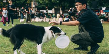 Sharon Bolt shares 12 hours of expert tips on how to train your dog