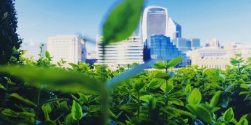 Tech industry needs to collaborate to solve the ongoing energy crisis, SAP exec says