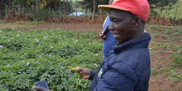 University Outreach Project Teaching Tissue Culture to Potato Farmers — Global Issues