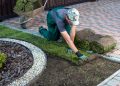 What You Need To Know About Getting Insurance For Your Landscape Business